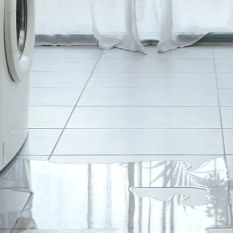 Appliance Leak Cleanup in Gantt, SC