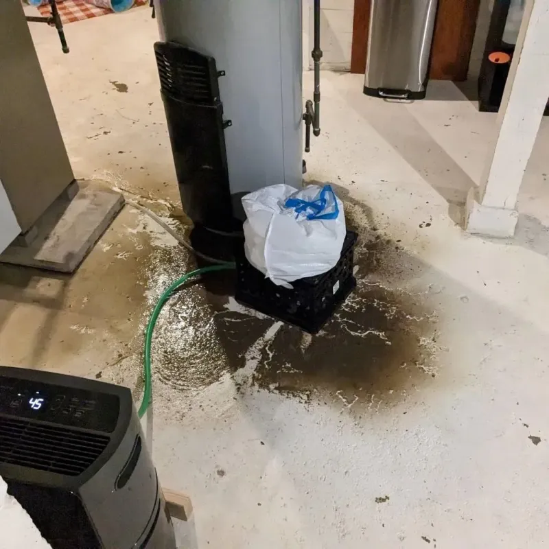 Sewage Backup Cleanup Service in Gantt, SC
